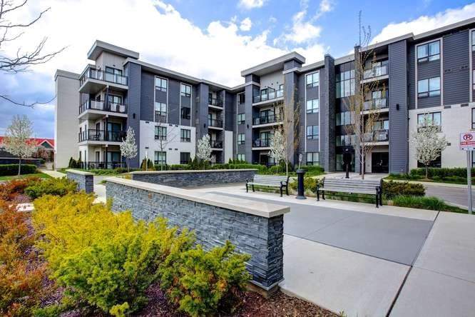 407 3170 Erin Mills Pkwy Mississauga Sold W4455088 Condos Ca 407 3170 Erin Mills Pkwy Mississauga Sold W4455088 Condos Ca