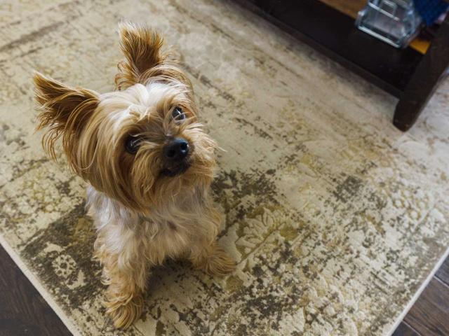 2301 - 2045 Lake Shore Blvd W