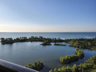 1106 - 80 Marine Parade Dr