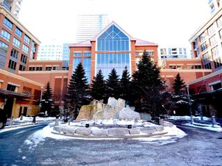 2512 - 4090 Living Arts Dr