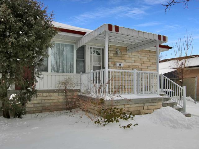 55 Corby Cres