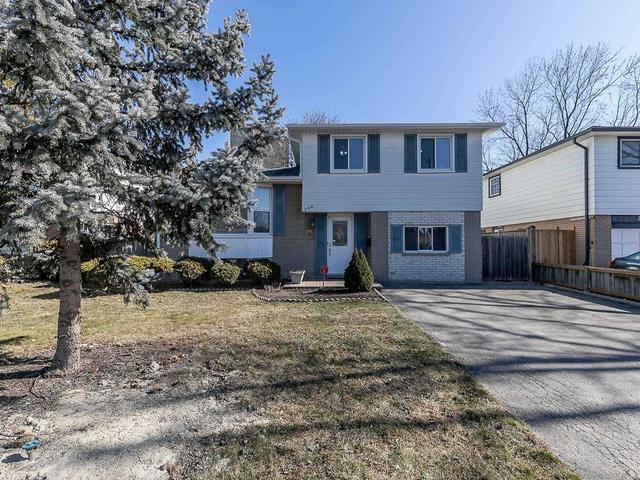 306 Bartley Bull Park