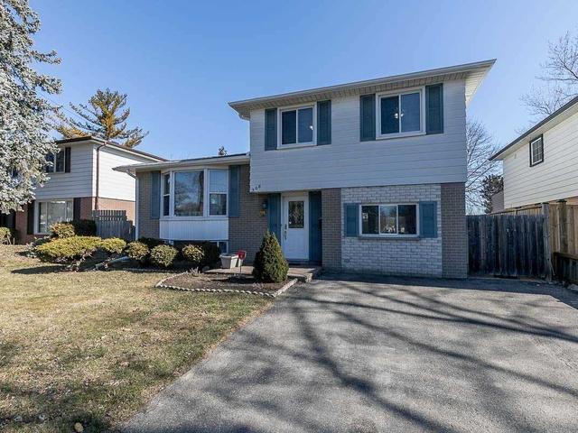 306 Bartley Bull Park