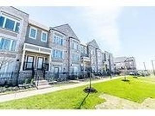 90 - 1 Beckenrose Crt