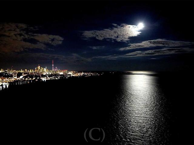 3702 - 1 Palace Pier Crt