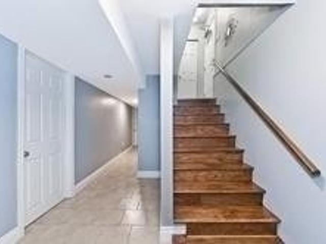 Bsmt - 28 Ardglen Dr