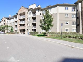 317 - 8 Dayspring Circ