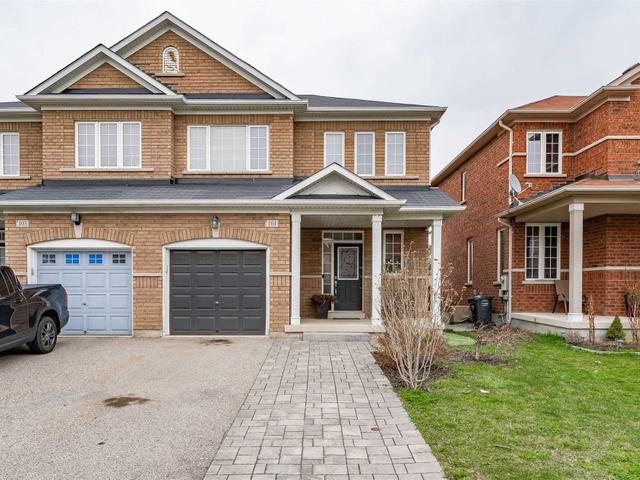 101 Iceland Poppy Tr