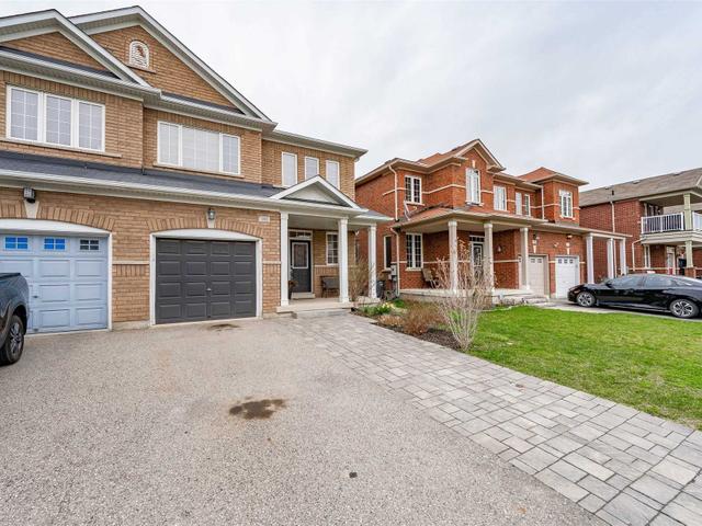 101 Iceland Poppy Tr