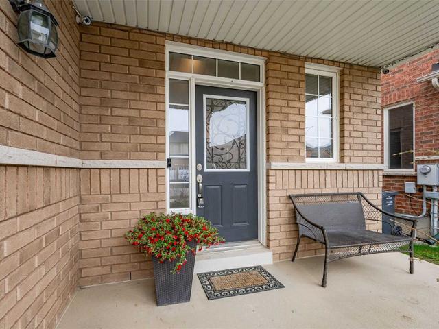 101 Iceland Poppy Tr