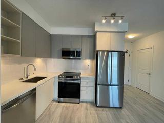 1810 - 4675 Metcalfe Ave