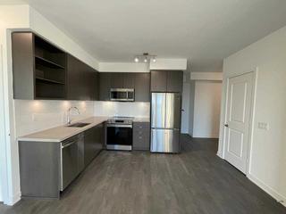 1010 - 4655 Metcalfe Ave