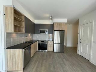 2110 - 4655 Metcalfe Ave
