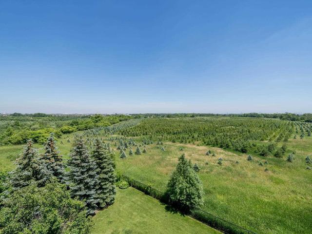 402 - 10 Dayspring Circ