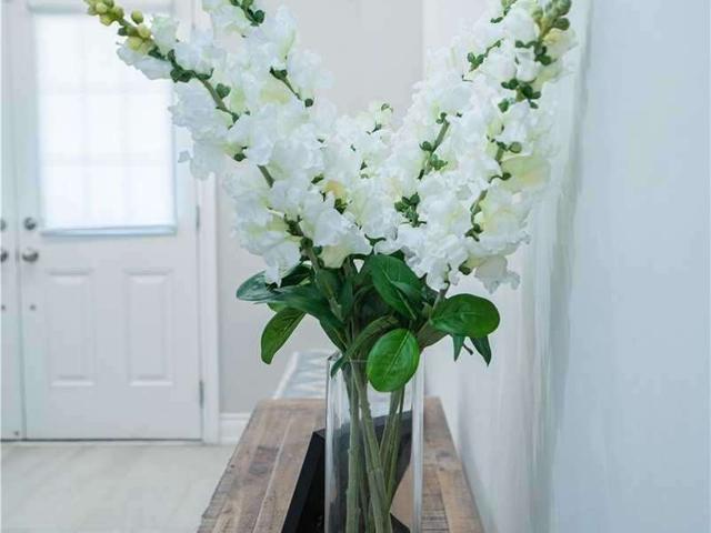 54 Elysian Fields Circ