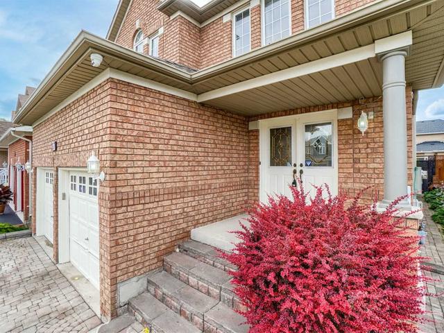 37 Angelucci Dr