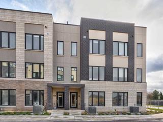 41 - 1095 Cooke Blvd