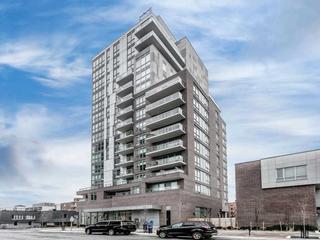 504 - 8 Ann St