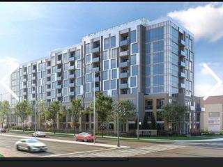 #202 - 509 Dundas St W