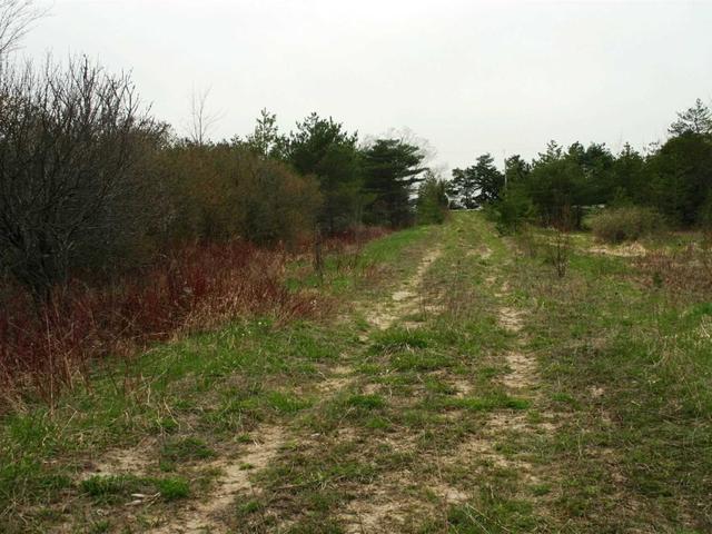 475547 County Road 11