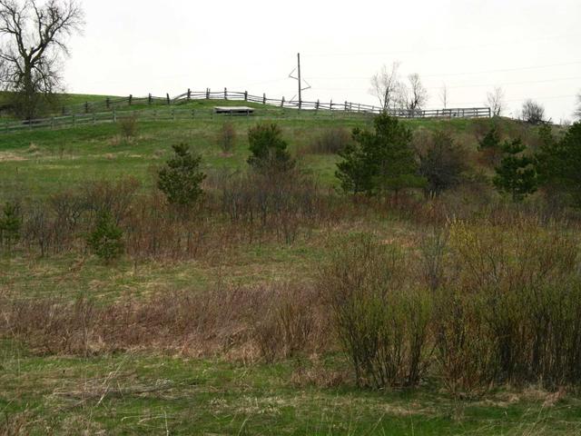 475547 County Road 11