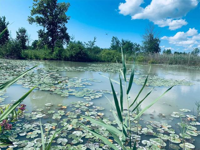 4299 Regional Rd ,20 Rd