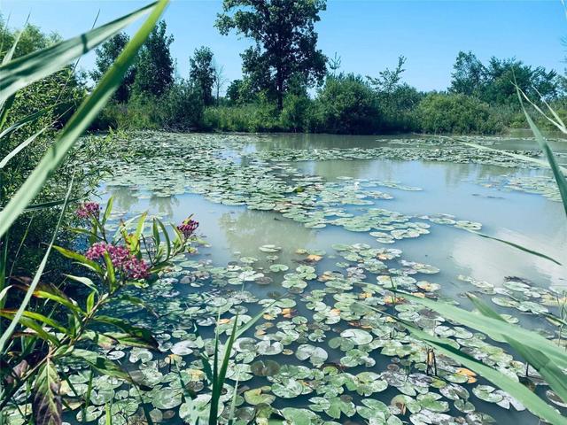 4299 Regional Rd ,20 Rd