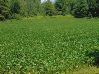 . 6th Line(Vimy Ridge) Rd