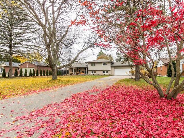 277 Northumberland St