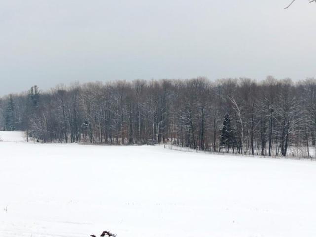 ## Concession 3 West Rd