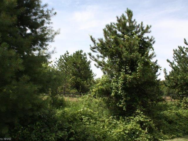 11358 County Road 2 Rd