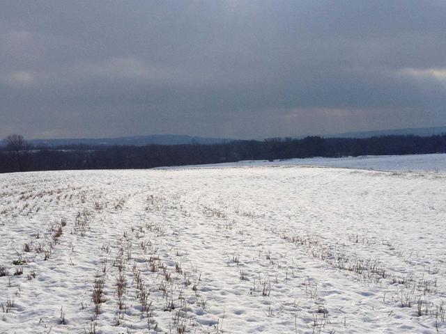 236787 Beaver Valley Rd