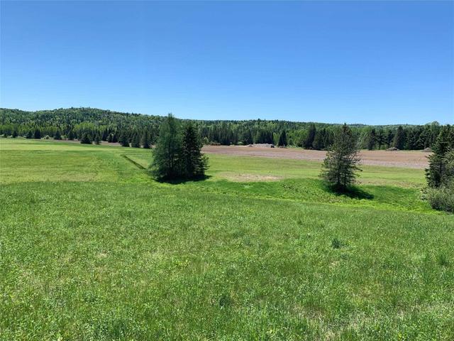 Severed - Lt 33 Hwy 533 Severed 1