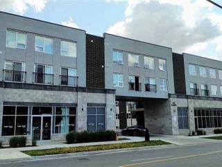 117 - 338 Albert St