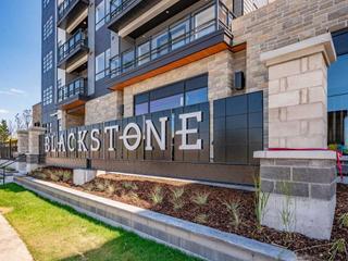 520 - 251 Northfield Dr E