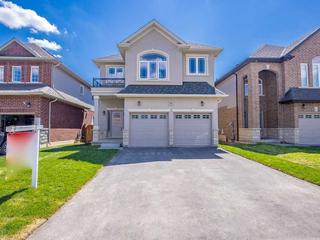 91 Cittadella Blvd