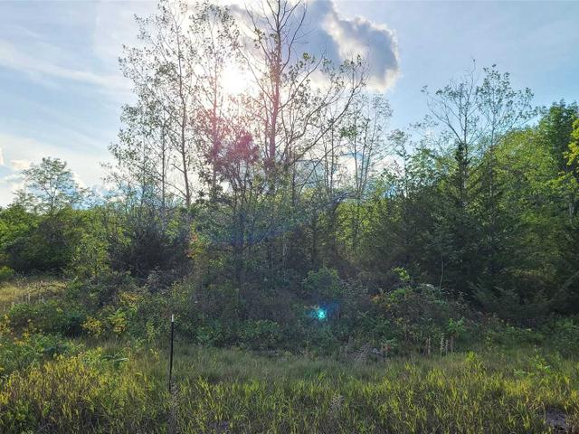 N/A 7th Line Belmont S