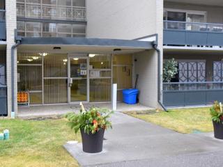 203 - 510 Queenston Rd S