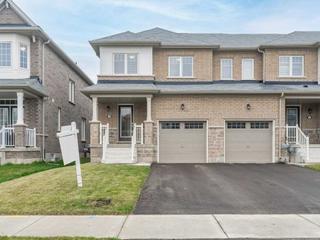 335 Dolman St