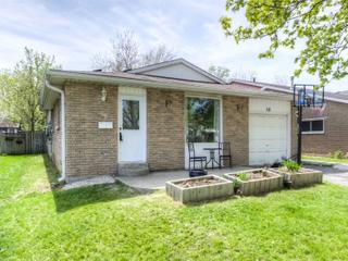 58 Dolman Crt