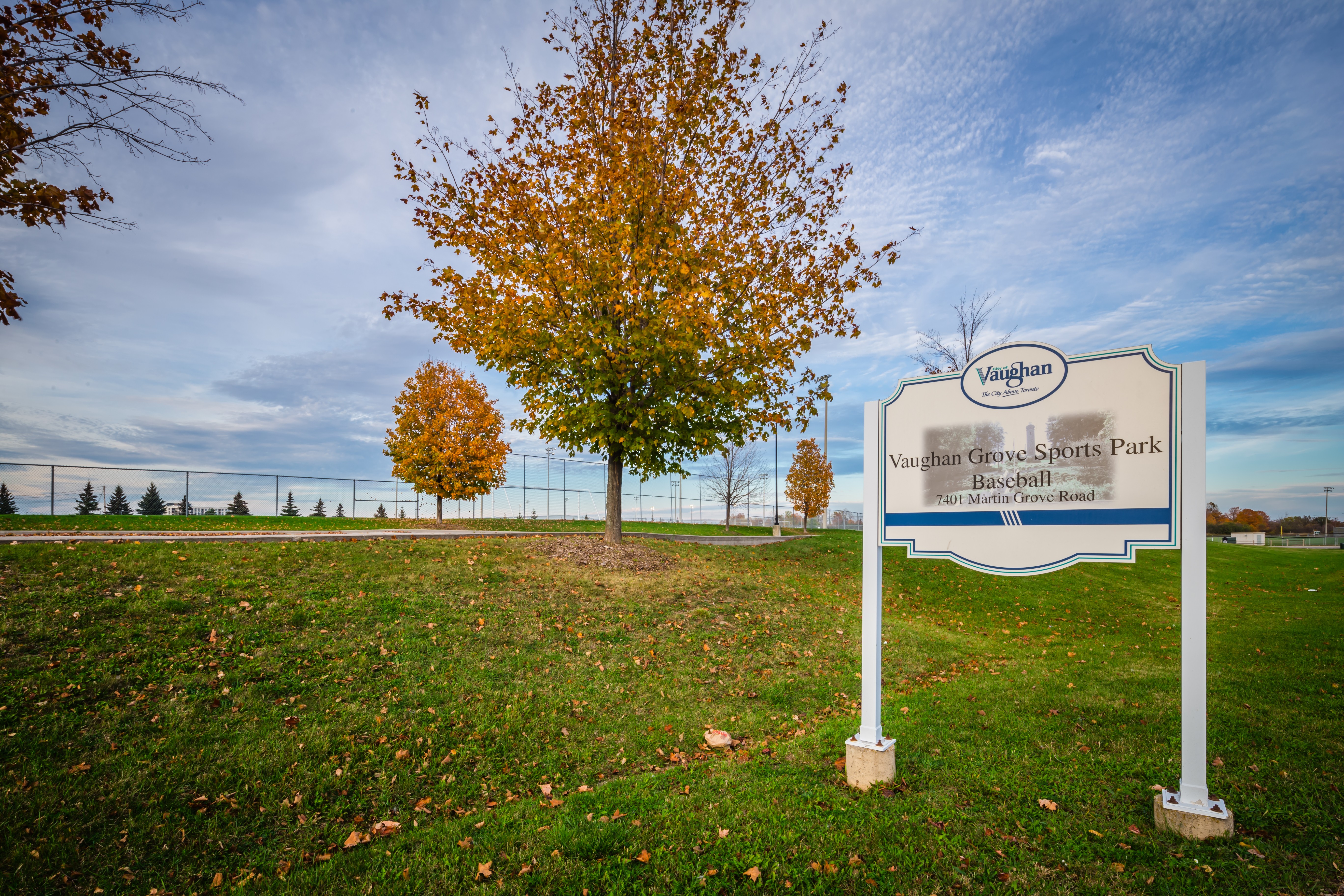 homes for sale in Vaughan