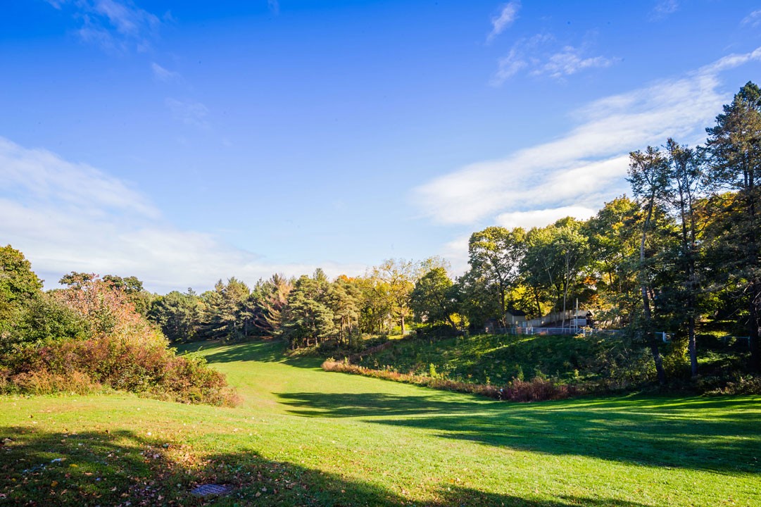 Condos For Sale in Lawrence Park North Condos.ca