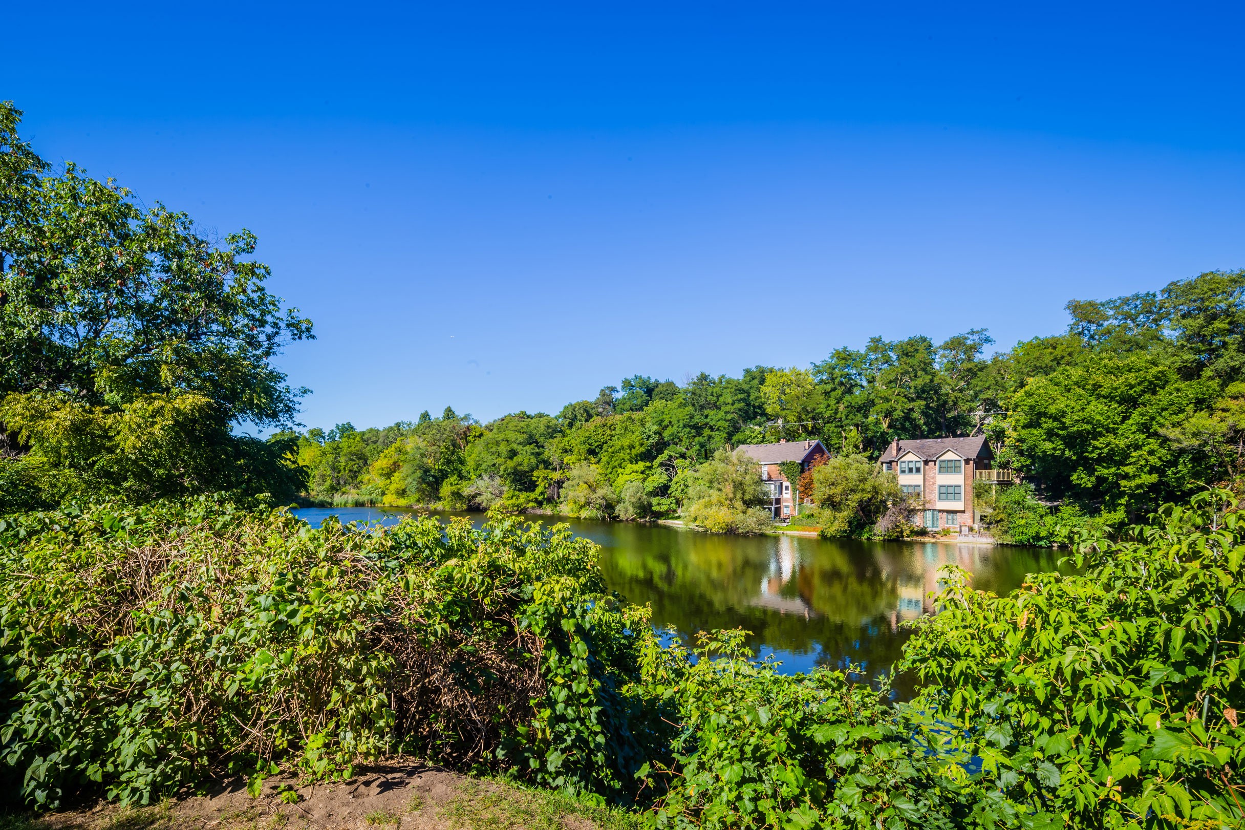 Apartments For Rent in West End Condos.ca